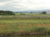 img0014.jpg