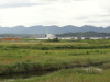 img0015.jpg
