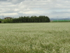 img0019.jpg