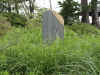 img0018.jpg