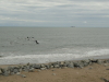 img0020.jpg