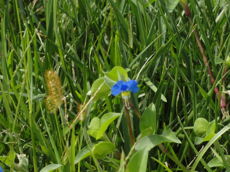 img0005.jpg