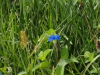 img0005.jpg