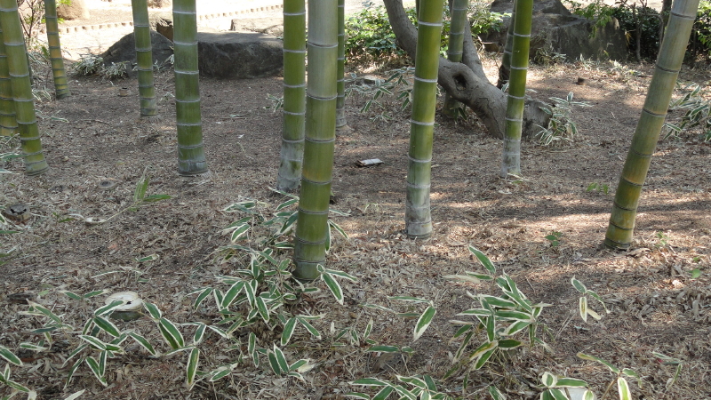 img0015.jpg