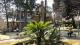 img0005.jpg
