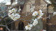img0007.jpg