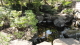 img0016.jpg