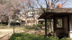 img0019.jpg
