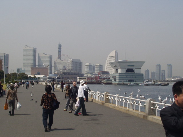 img0000.jpg