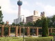 img0009.jpg