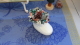 img0025.jpg