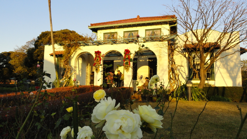 img0040.jpg