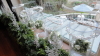 img0015.jpg