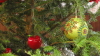 img0027.jpg