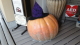 img0001.jpg