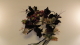 img0005.jpg