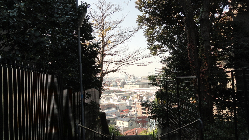 img0003.jpg