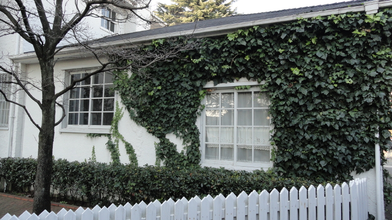img0010.jpg