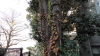 img0004.jpg