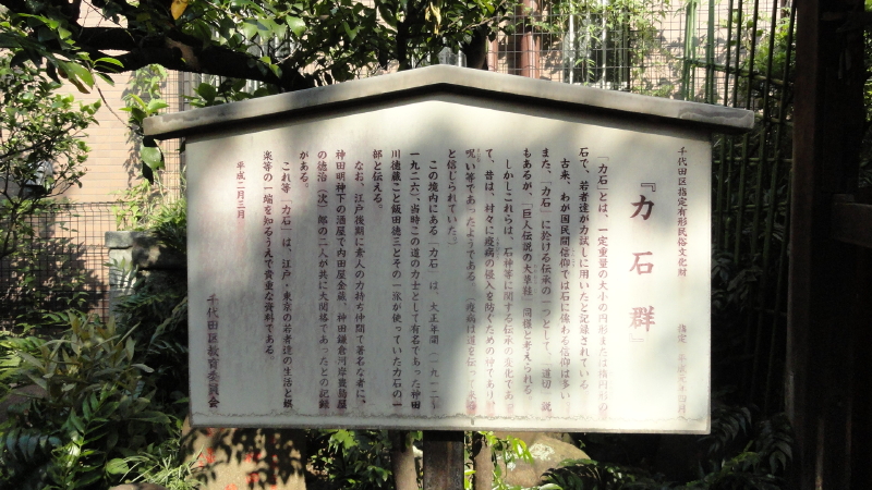 img0003.jpg