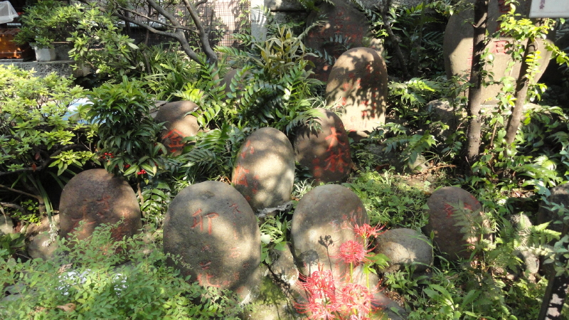 img0004.jpg
