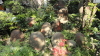 img0004.jpg