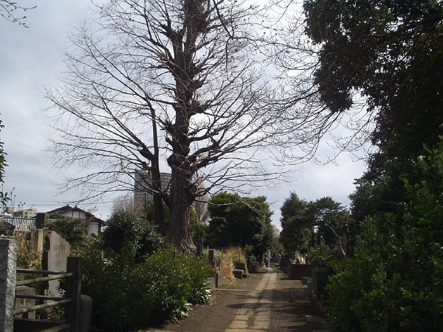 img0003.jpg