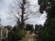 img0003.jpg