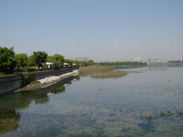 img0004.jpg