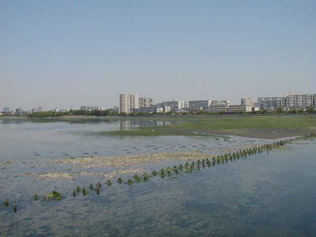 img0005.jpg
