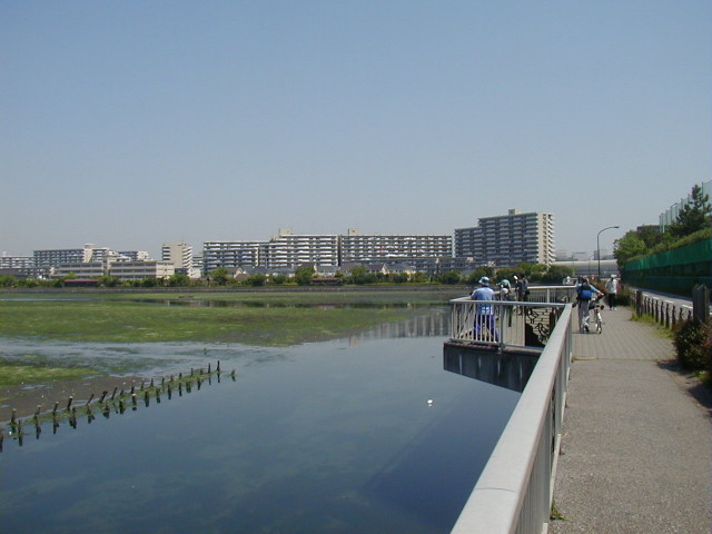 img0006.jpg