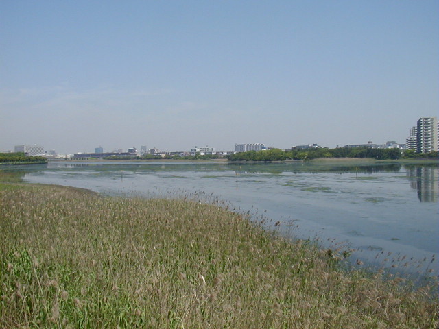 img0007.jpg