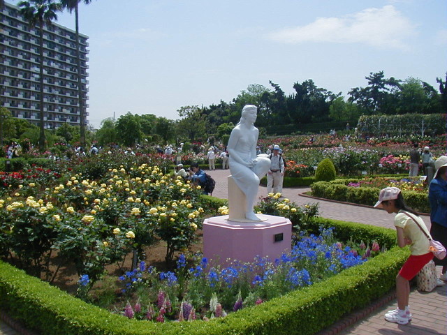img0009.jpg