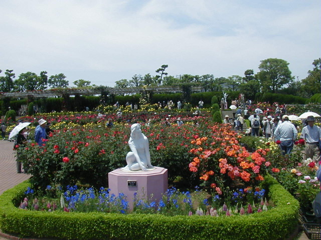 img0011.jpg