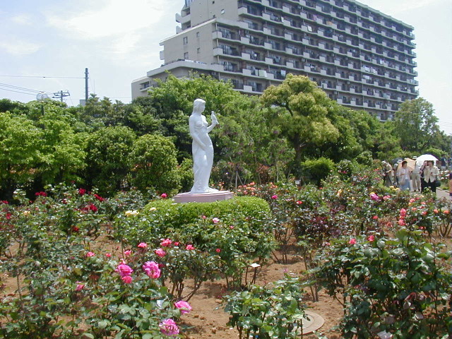 img0013.jpg