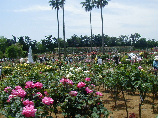 img0014.jpg