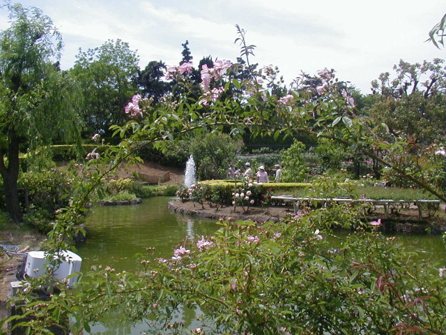 img0015.jpg