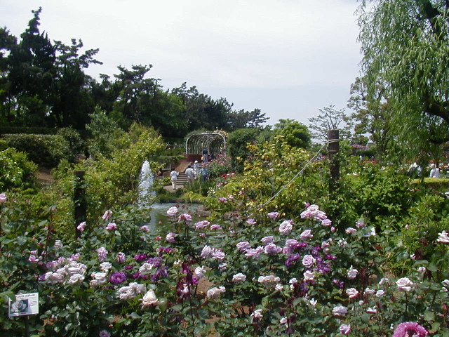 img0016.jpg