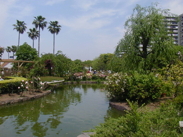 img0018.jpg