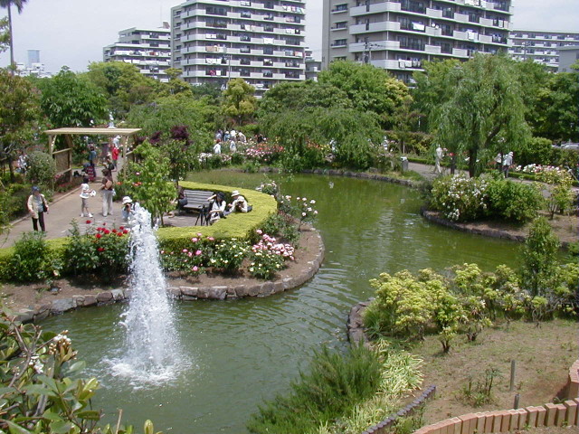 img0019.jpg