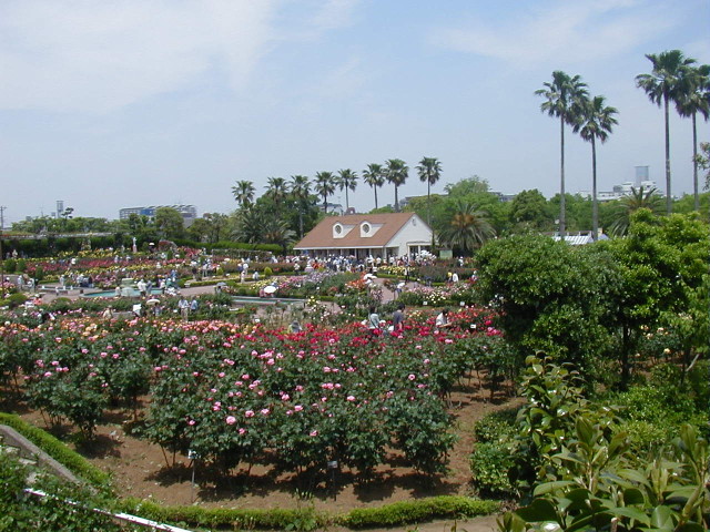 img0020.jpg