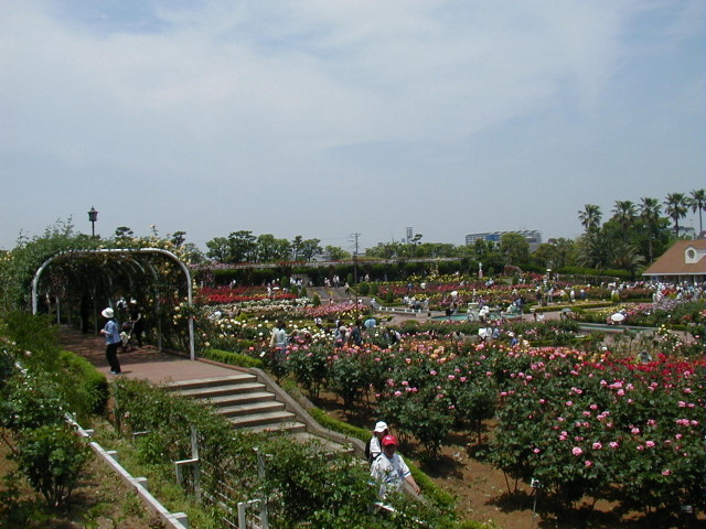 img0021.jpg