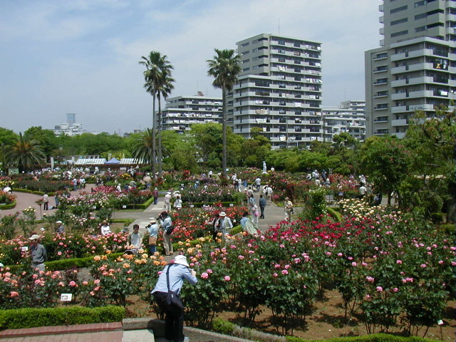 img0022.jpg