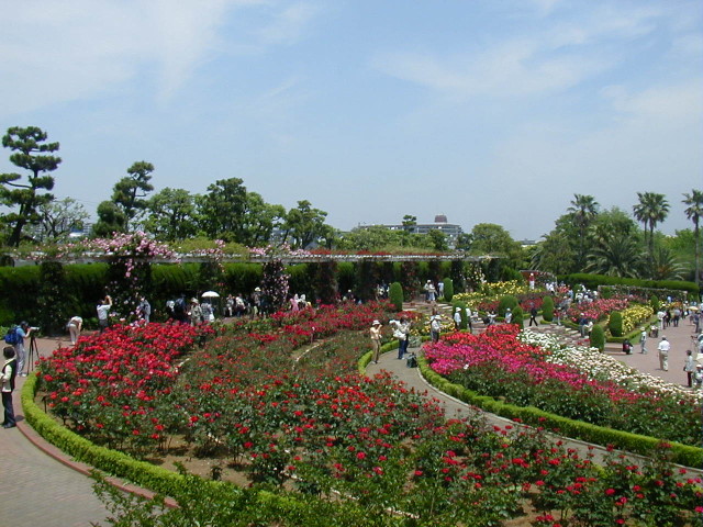 img0023.jpg