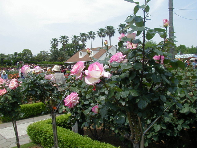img0027.jpg