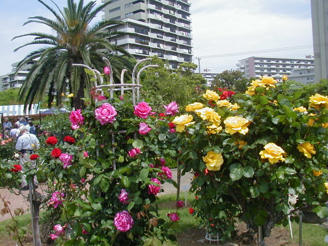 img0029.jpg