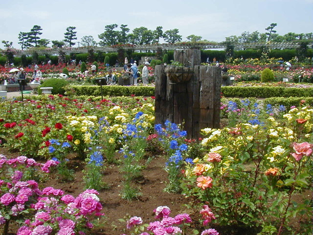 img0031.jpg