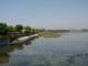 img0004.jpg