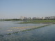 img0005.jpg