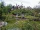 img0015.jpg